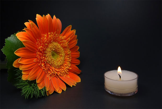 أحلى صورة شمعة ووردة برتقالية Orange Rose And Candle-عالم الصور
